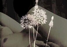 these vintage erotic drawings are turning me on