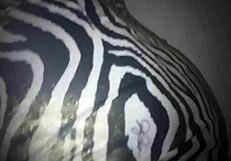 big ass and tits bounce wildly in hardcore pounding session