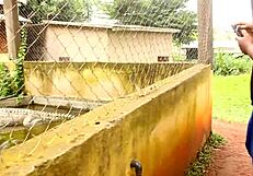 ebony wife cheats wildly as muscular colleague bangs her then husband