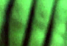 Amateur Latina Solo Plays with Natural Tits and Wet Pussy