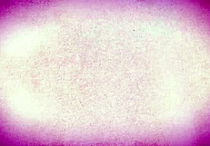 Teasing 18+ Latina Sucks Thick Monster Cock in Front of Stepdad in Taboo CFNM