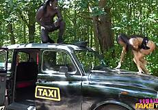 no way i'd miss sucking this bbc when lights turn red in the taxi... viral fake taxi slop