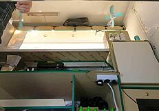 pink skirt hides her wet pussy from hidden work cam