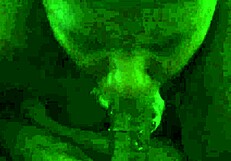 Watch my sloppy deepthroat gag on huge cock cum swap mess