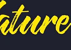 beatrix milf takes bbc pounding in public toilet