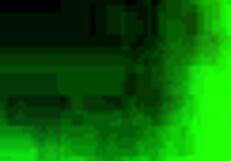 look at my big assed babe shaking that huge booty