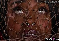 Farm Owner Ready for Shemale Threesome Pounding?