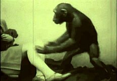 vintage hairy pussy pounded outdoors retro style