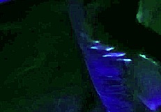 Naughty Slut Wife Craves Her Husband's Huge Cock Deep in Her Ass