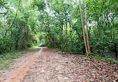 We fuck hard in forest as thai village amateurs pov creampie 4k