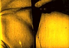 This vintage art shows hairy beaver