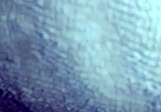 Shannon unleashes golden shower stream