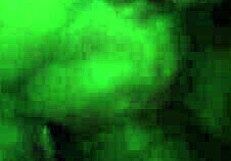 oh man, check out this coroatransgaucha shemale crossdressing action getting wild!