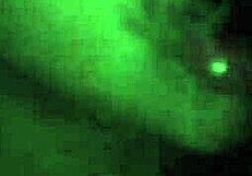 oh man, check out this coroatransgaucha shemale crossdressing action getting wild!