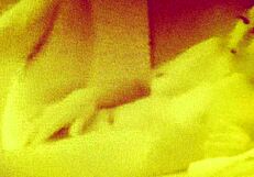 sunny's korean monster cock ride ends in massive cumshot explosion part 2