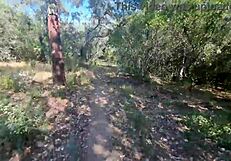 outdoor camper bent over for huge creampie in public forest