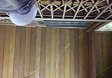 Marombado Pounds Loirinha Pussy Hard at Carnival with Paty Bumbum Watching Melisa Alecxander