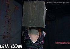 babe's slit takes ROUGH FUCKING in hardcore sex contest