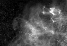 bambi's secret neighbor hookups turn into wild bedroom romps with curvy housewife