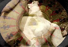 vintage erotic art showcases retro hairy beaver beauty