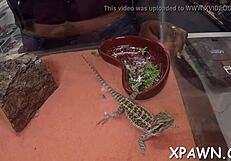 Exhibitionist Amateur Sucks Cock Bent Over in Hardcore Fuck