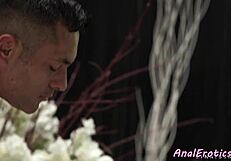 Classy European beauty takes anal pounding doggystyle bent over