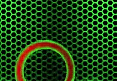 Stripper Sluts Sara Jay and Ava Devine Devour Black Cock!