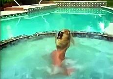 Watch These Massive Jumping Tits Bounce Wildly!