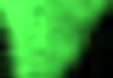 Holy fuck she's slurping that massive monster cock like a hungry slut!