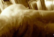 i'm fucking this monster cock so good it stretches my pussy wide