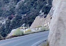 Winner fucks this tattooed blonde ass in leather thong at nightclub 4k