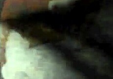 Vintage erotic drawings of hairy beavers and pussies