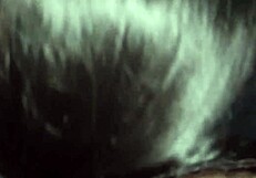 stepmom's pregnant pussy creampied hard by young stepson orgasm rush