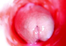 camera POV inside oiled redhead fuck doll pussy as monster cock machine pounds to orgasm. BEST INTERNAL CUMSHOT