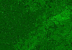 Crazy 18yo pees panties on beach then squirts wet! 🌊💦