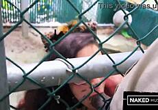 Curvy Brazilian Tiger Tamed by Massive BBC in Jungle Doggystyle Ass Pounding