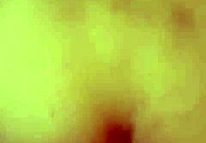 I crave sucking this thick saudi cock down my throat!