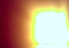 Ever wonder what happens when your hot latina gf bends over for homemade doggystyle?