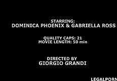 double addicted 4on2 rips clothes for rough anal ass to mouth with dominica phoenix gabriella ross