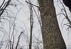 her yoga curves in spandex leggings hint at that perfect ass tease