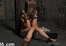 Rough Sadomasochism Contest Couples Compete in Hardcore Pussy Fucking Orgasms