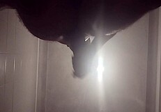 guy sneaks bathroom solo stroke session caught mid masturbation