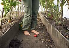 Squashing Juicy Tomatoes Barefoot in Country Dirt Ranch