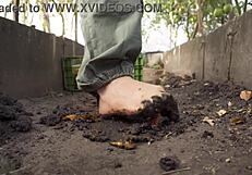 Squashing Juicy Tomatoes Barefoot in Country Dirt Ranch